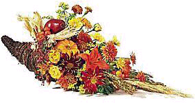 cornucopia